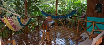 Casita cecropia in Drake Bay