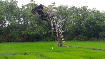 Un arbre dont les branches sont ornées de structures en bois, situé dans un champ verdoyant.