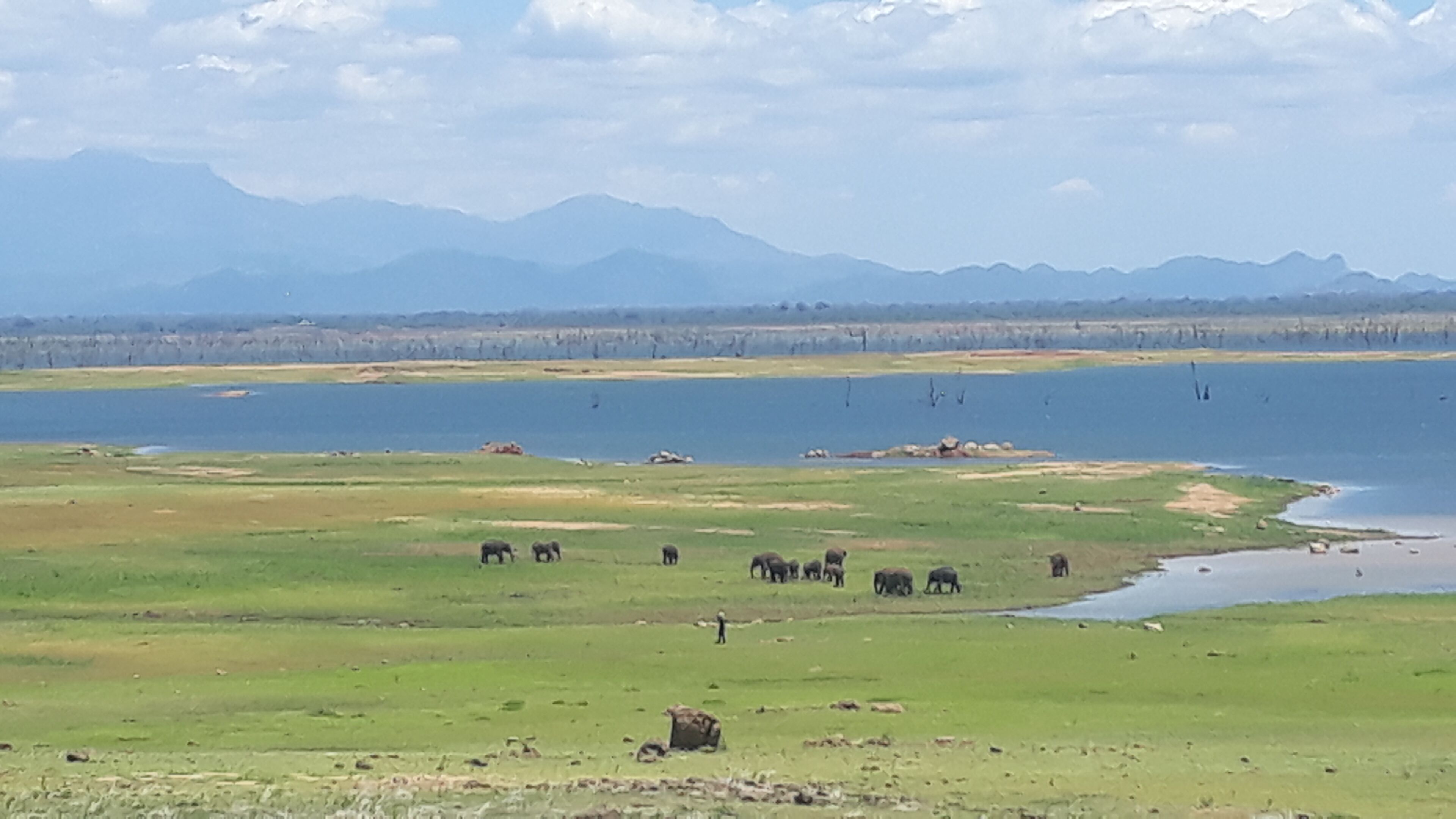 Vista para o lago