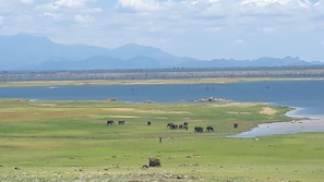 Vista al lago