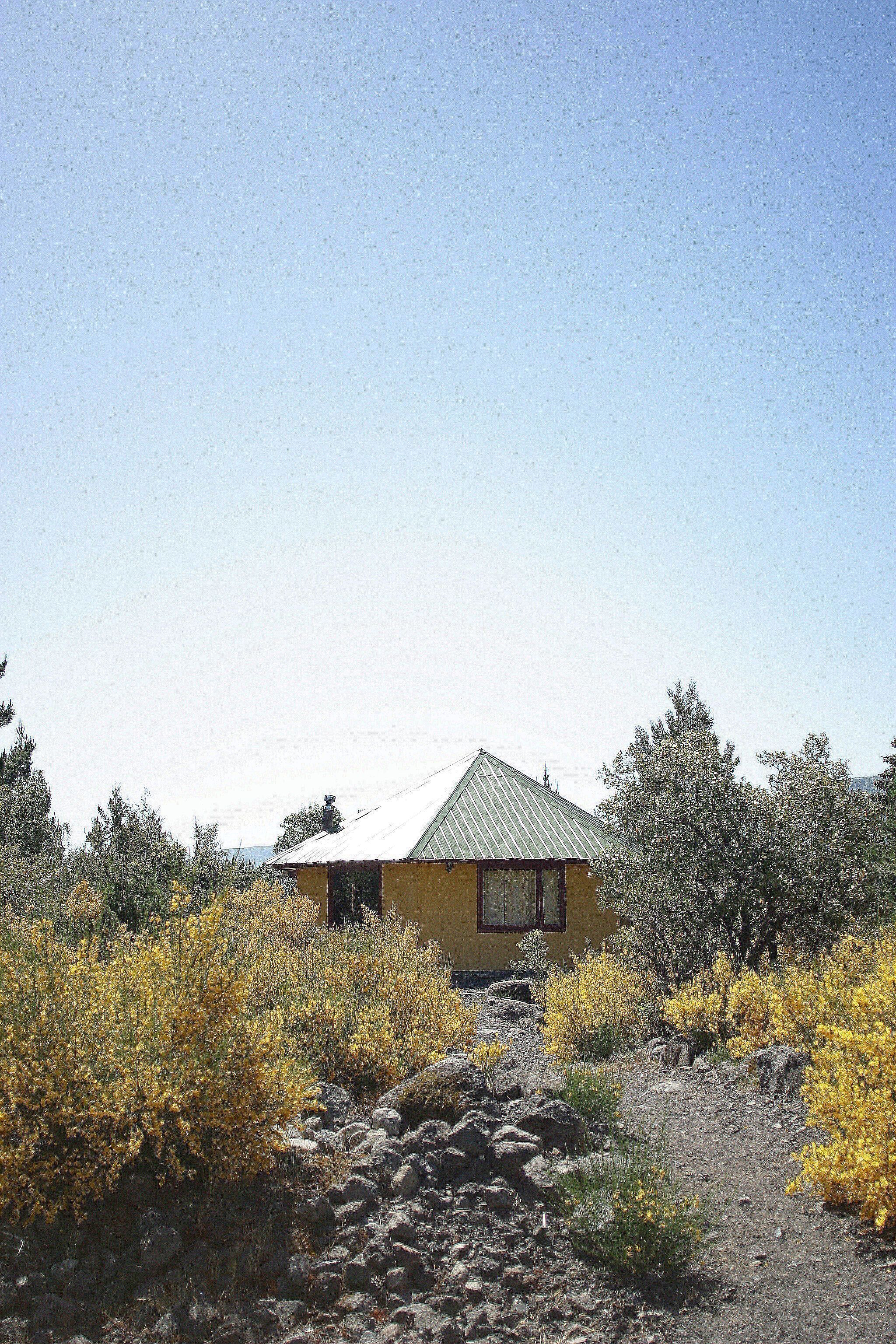 電視、DVD 播放機