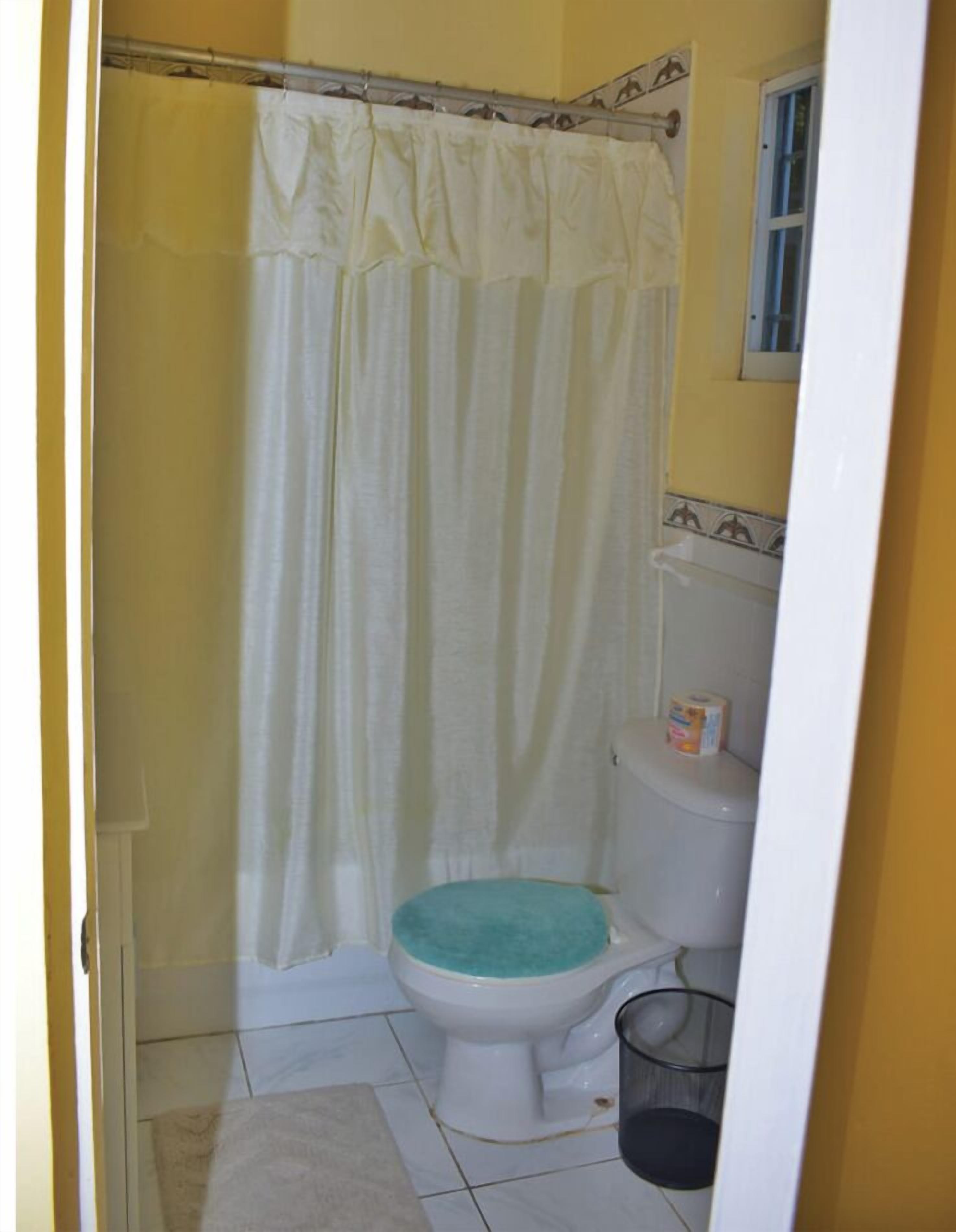 Shower, towels, soap, toilet paper