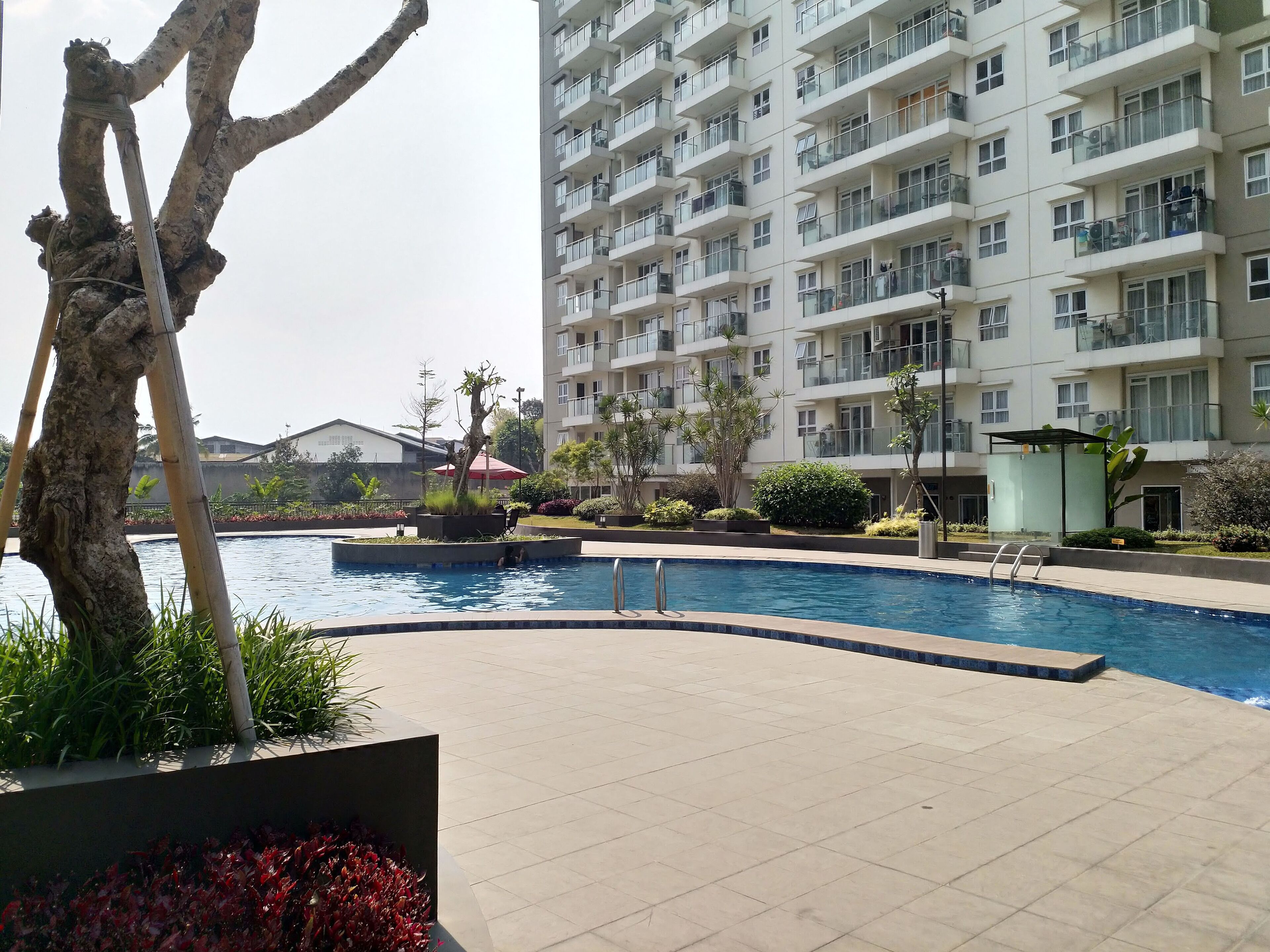 Piscina externa