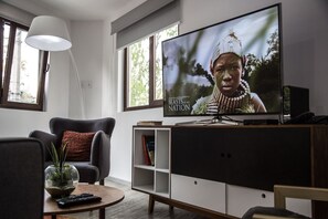 Apartment | Television