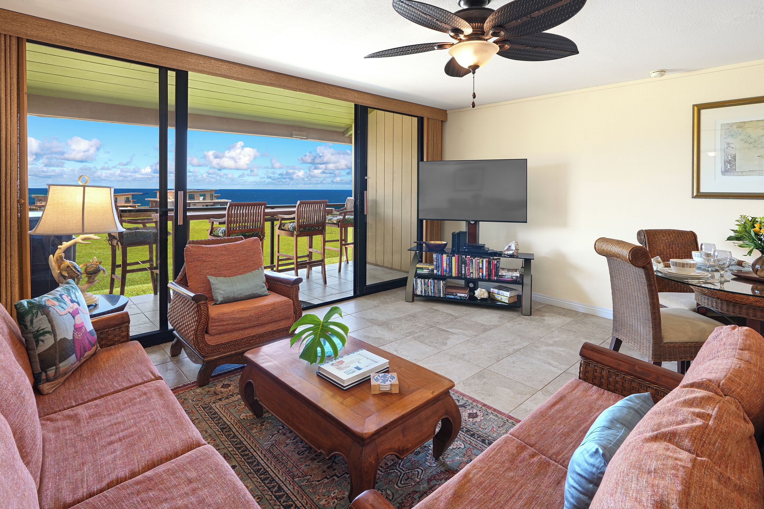 Smart TV, DVD player, books, video library