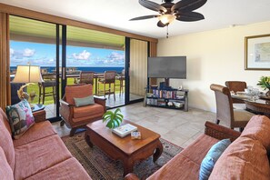 Smart TV, DVD player, books, video library