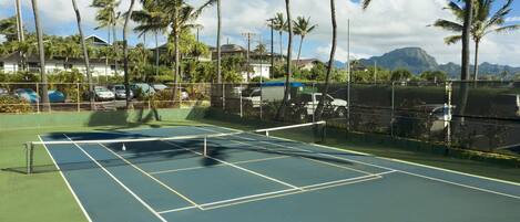 A tennis court surrounded by palm trees and houses.