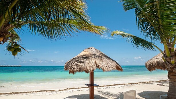 Une plage avec des chaises longues blanches, un parasol en chaume et des palmiers.