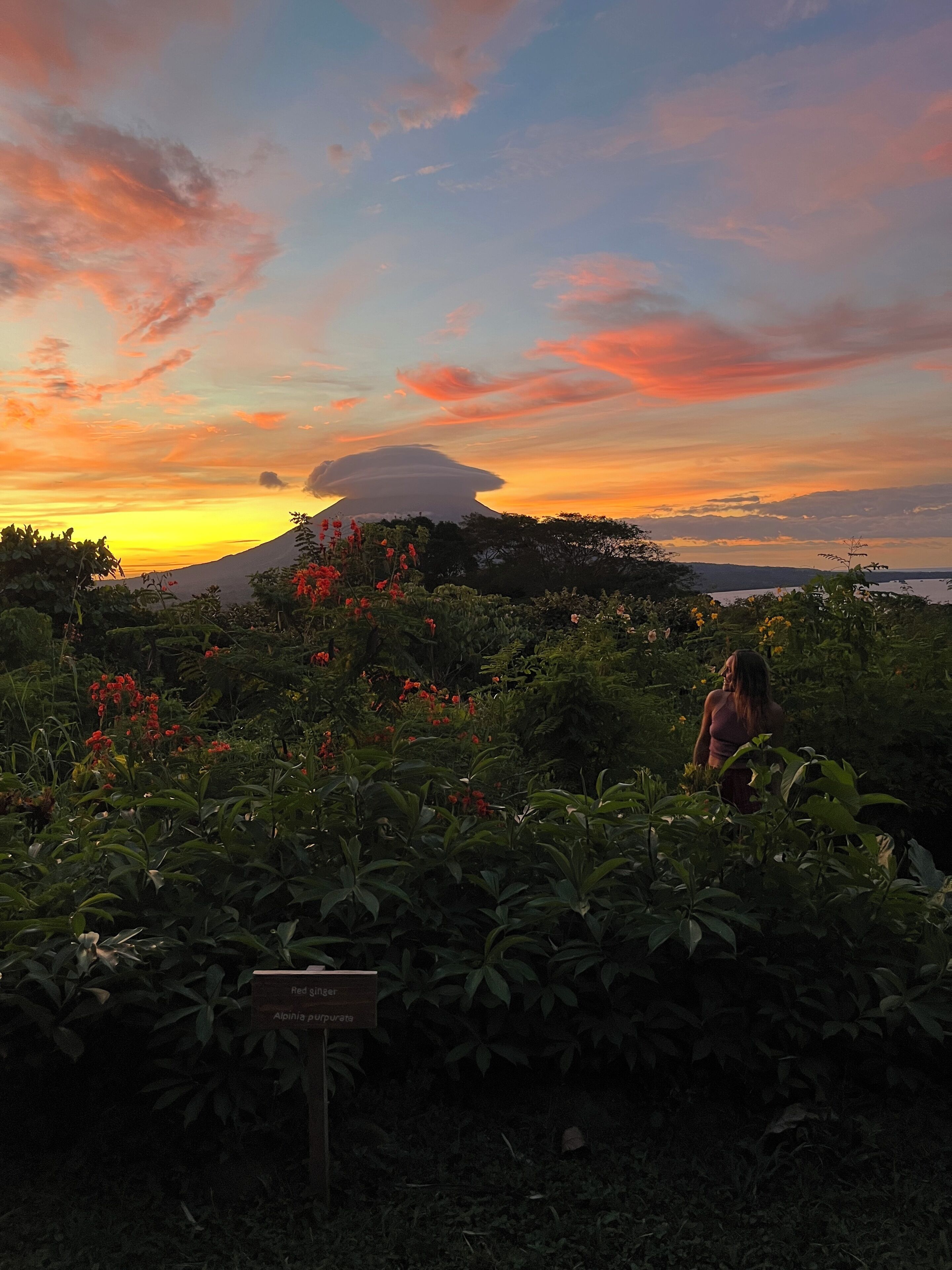 A natural landscape with a volcano in the background, lush greenery, and a sign indicating the presence of Red Slinger and Aloinia plants.