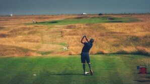Un campo de golf con un jugador preparándose para golpear una bola, un perro cerca y un carrito de golf rojo al frente.