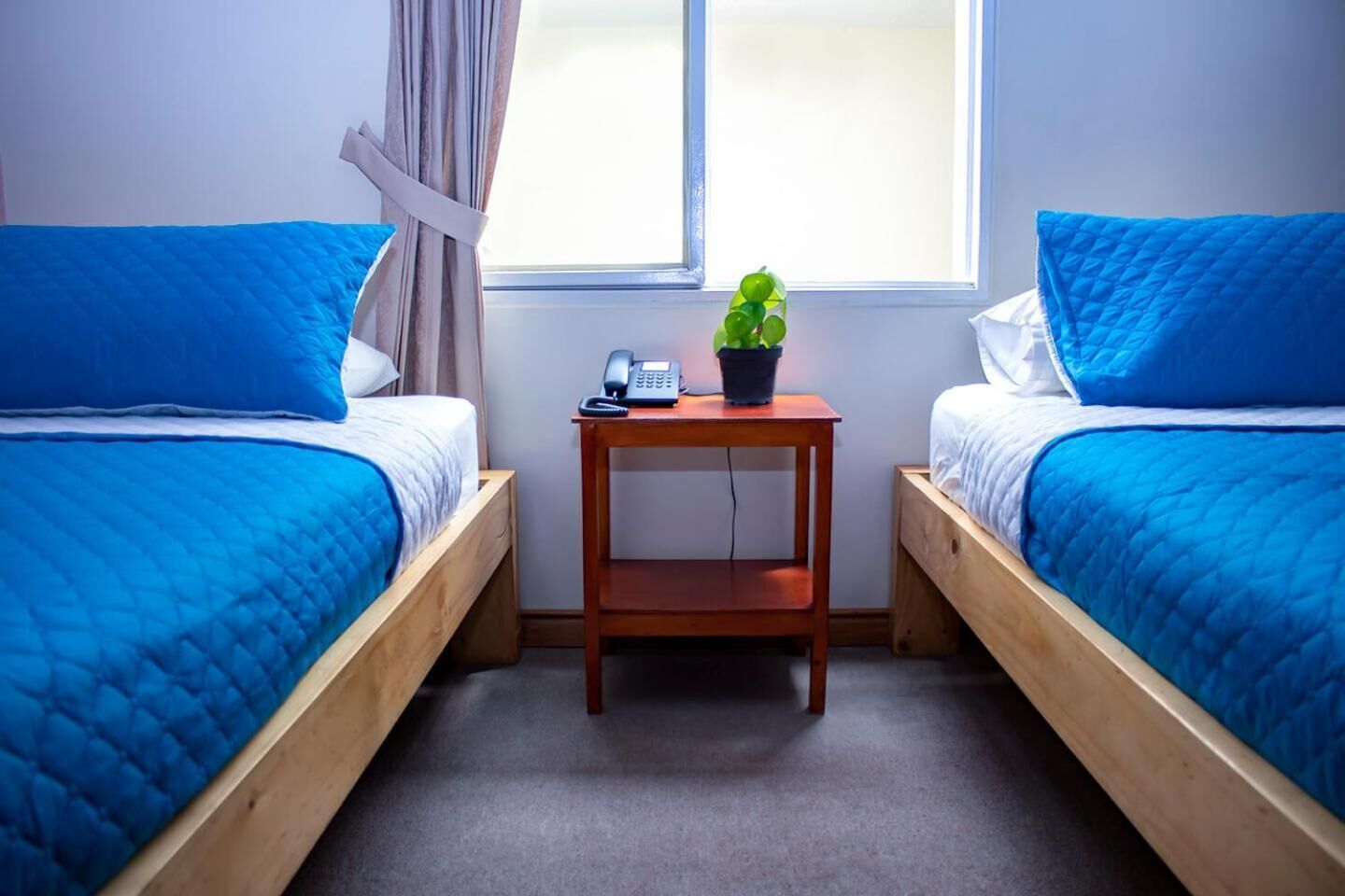 Minibar, tabla de planchar con plancha, wifi gratis y ropa de cama 