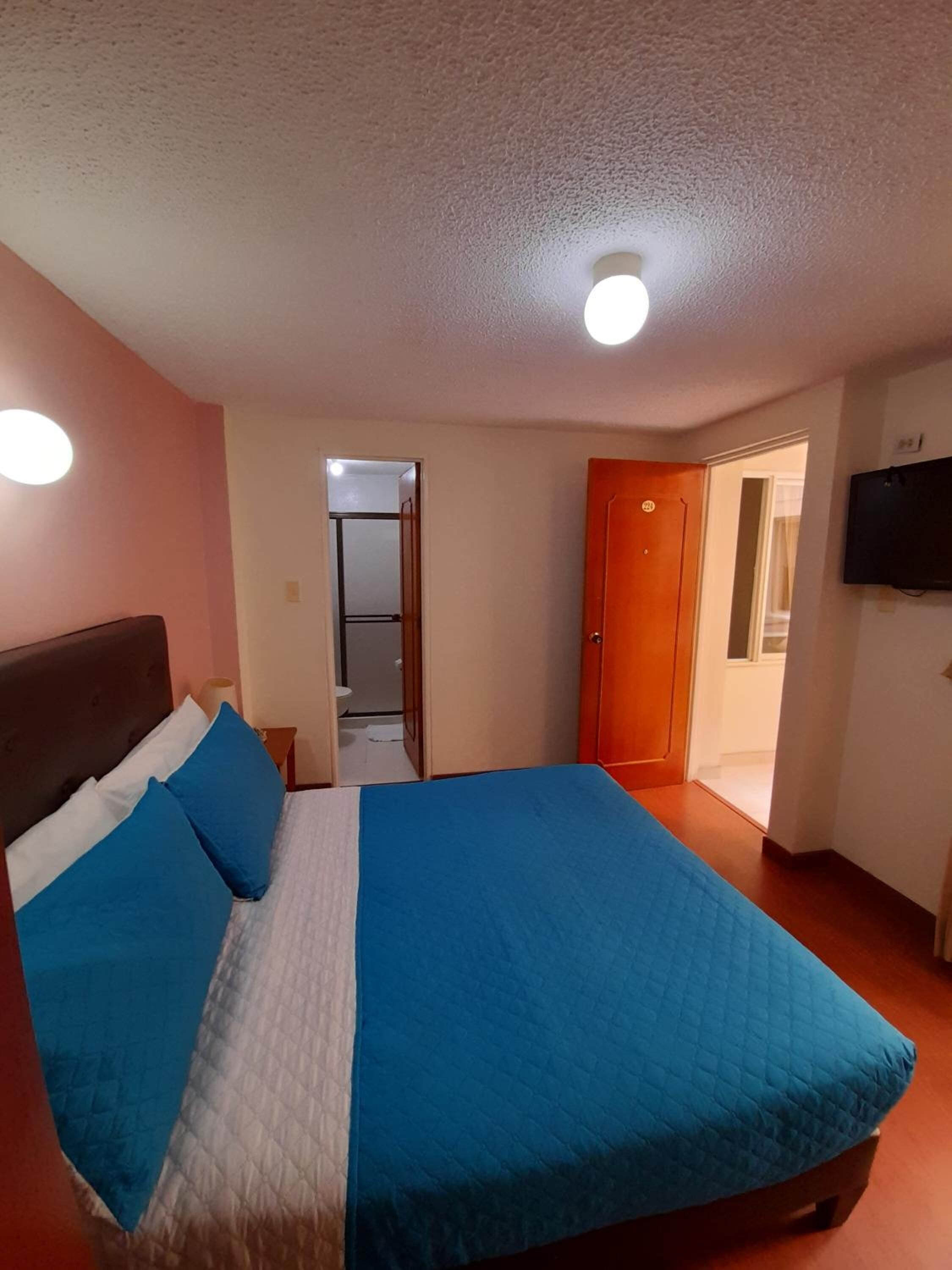 A bedroom with a bed, a TV, and a door.