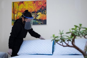 Minibar, tabla de planchar con plancha, wifi gratis y ropa de cama