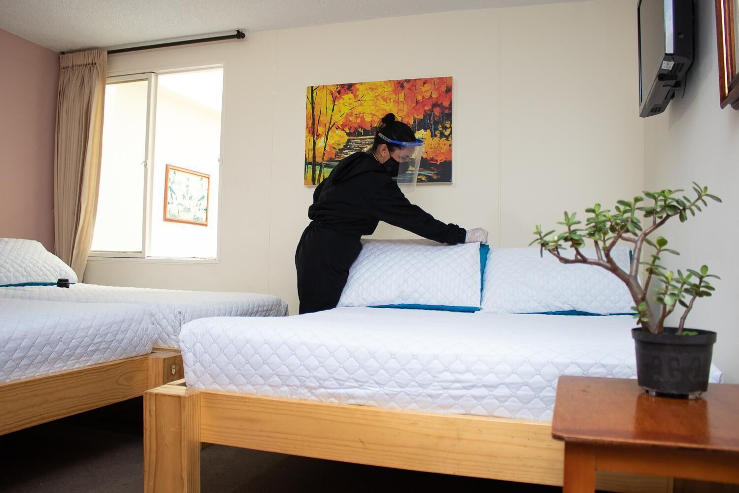 A hotel room with two single beds, a potted plant, and a painting on the wall.