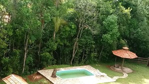 Un jardín trasero con piscina, rodeado de abundante follaje y una valla de madera.