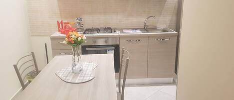 Fridge, oven, stovetop, cookware/dishes/utensils