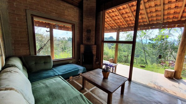 TV connectée, cheminée, livres