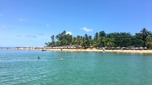 Una playa con agua cristalina, palmeras y sombrillas.