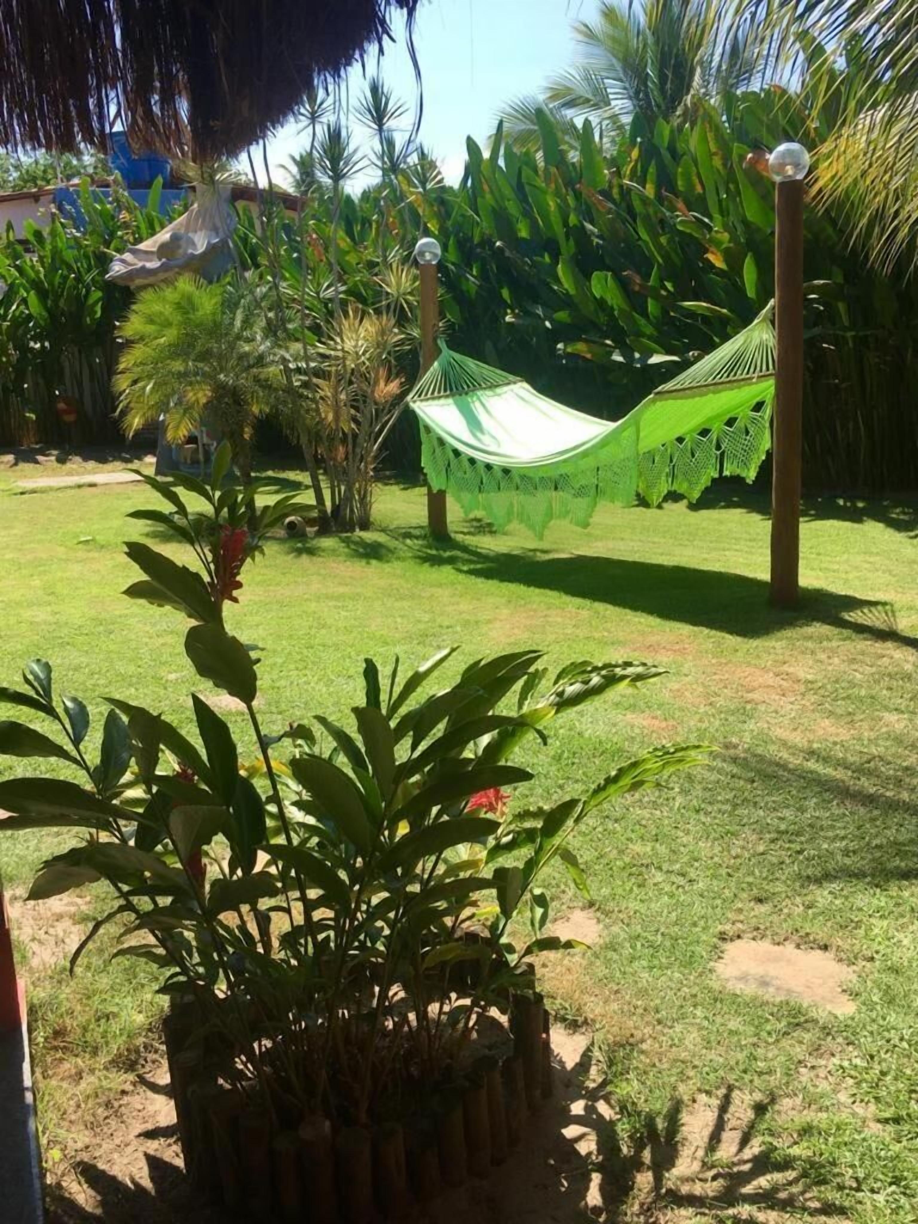 Un hamac dans un jardin luxuriant, agrémenté de diverses plantes et surmonté d’une structure à toit de chaume.
