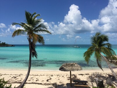 Cliff-Top Estate with Pool, Sunsets, Direct Caribbean Access, Walk to Rest./Bar!