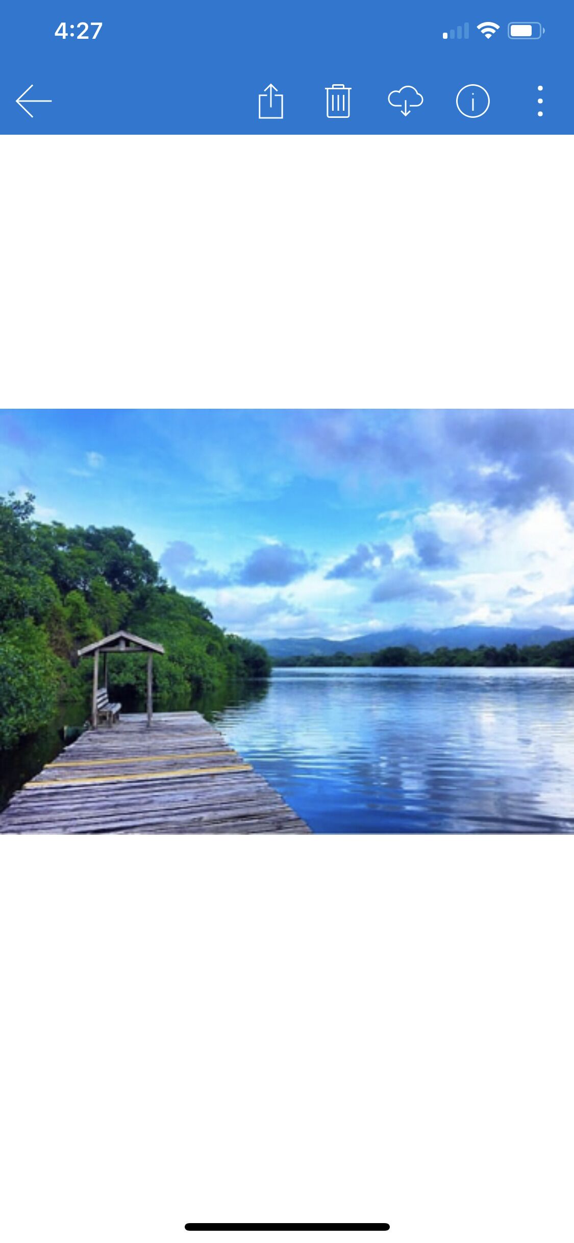 A wooden pier extending into a calm body of water, surrounded by lush greenery.