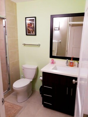 A bathroom with a toilet, a sink, a mirror, and a shower area.