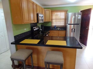 Superior Villa | Private kitchen - Marley Road Executive Guest Apartment (Kingston)