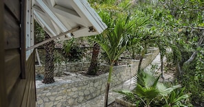 A stone wall with plants and a window with a white frame.