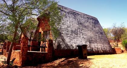 Bulls Haven retreat. Interact with tame bulls