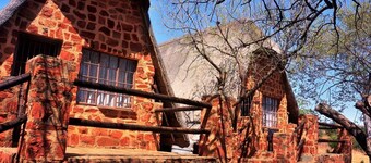 Bulls Haven retreat. Interact with tame bulls