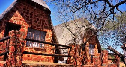 Bulls Haven retreat. Interact with tame bulls