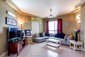 TV, lettore DVD, libri