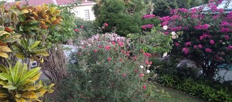 A  beautiful, well furnished self-contained 2 bedroom, 1 bathroom apartment.  