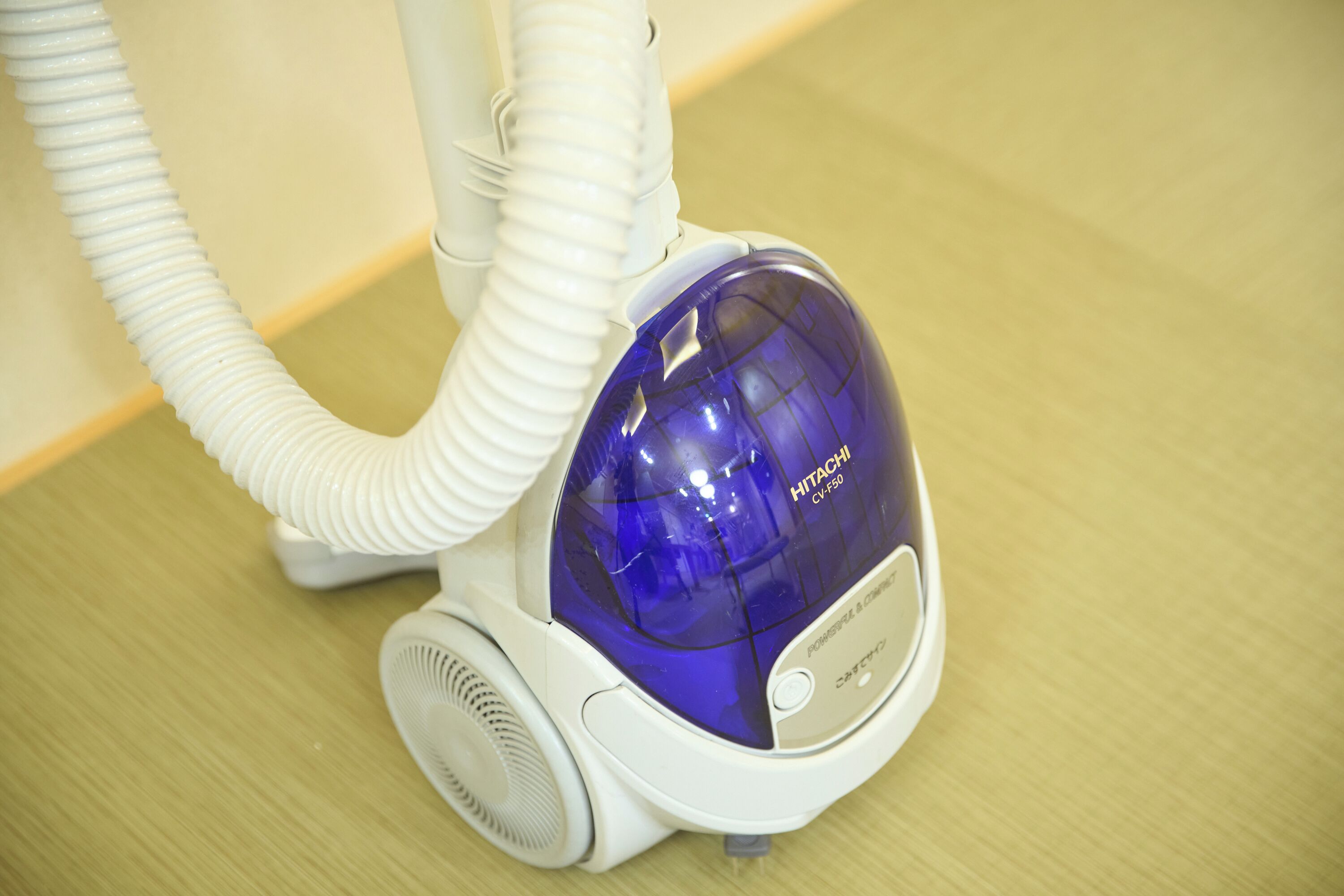 A vacuum cleaner with a blue dust container and a white hose.