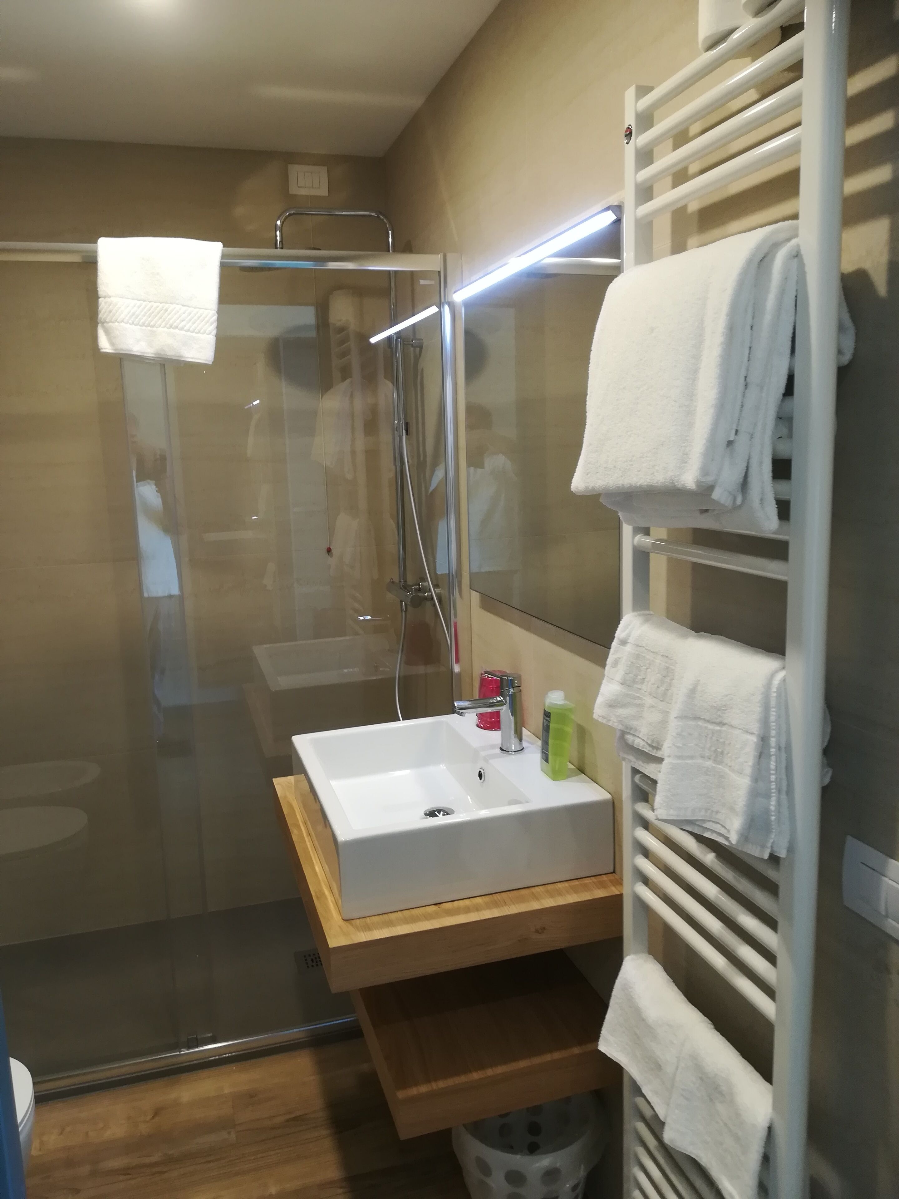 shower, free toiletries, hair dryer, bidet