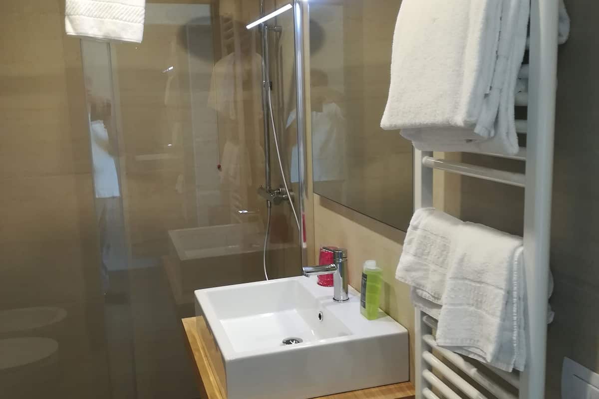 shower, free toiletries, hair dryer, bidet