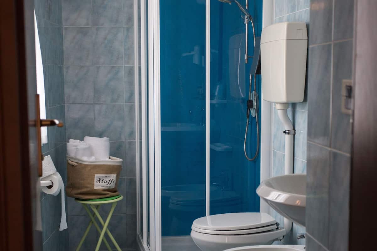 double room (vintage) | bathroom | shower, free toiletries, hair dryer, bidet