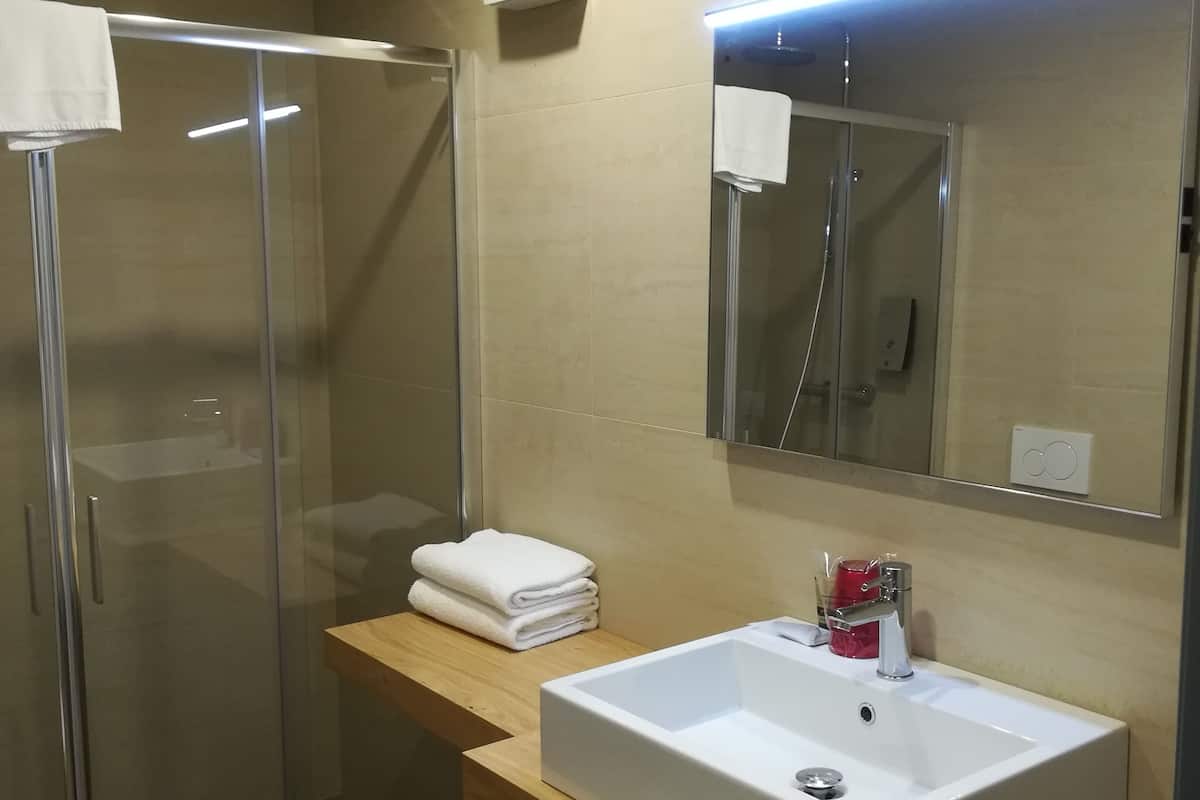 shower, free toiletries, hair dryer, bidet