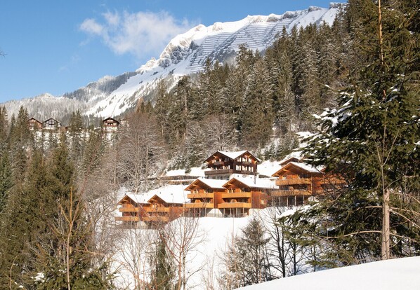 Exterior - Racers Retreat (Wengen: car limited village) (Wengen)