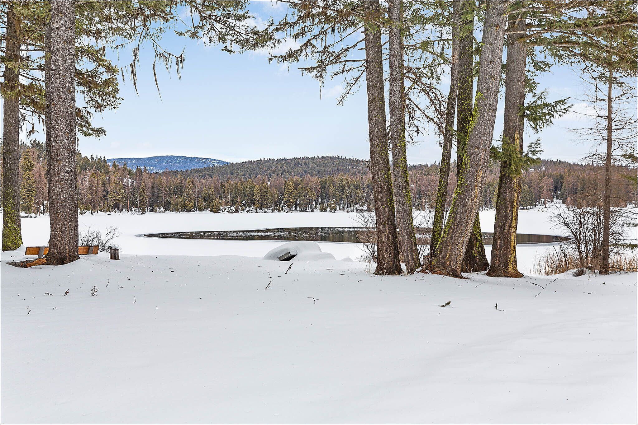 A snowy landscape with trees and a body of water.