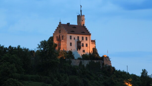 Un edificio simile a un castello con una torre imponente, circondato da fitta vegetazione.