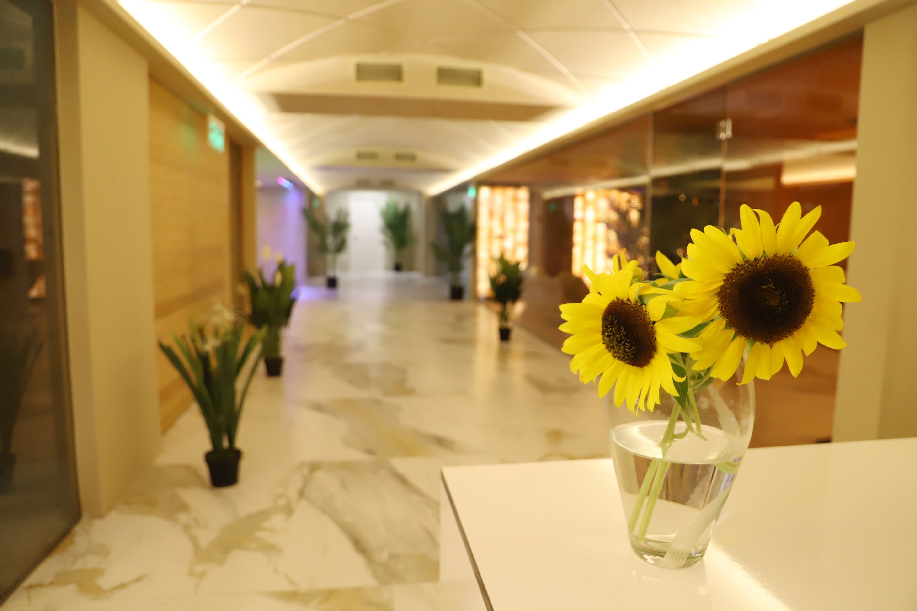 Spa reception