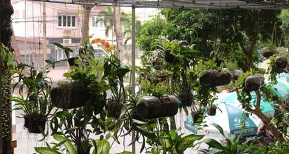 Lam Son Hotel