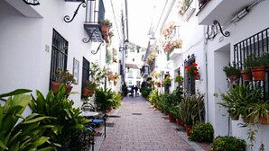 A narrow alleyway with white buildings, potted plants, and hanging flower baskets.