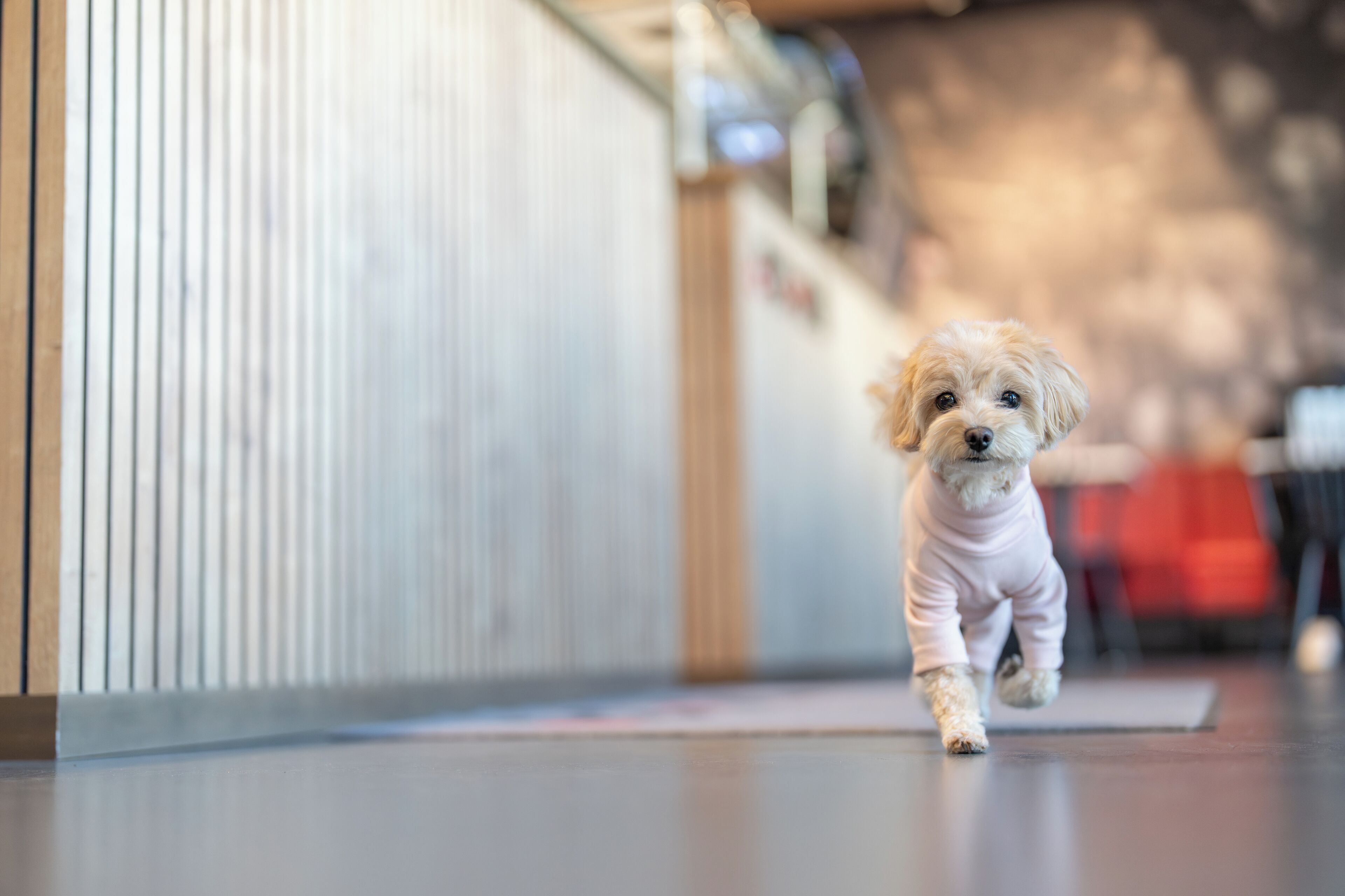 Photo - House of Records