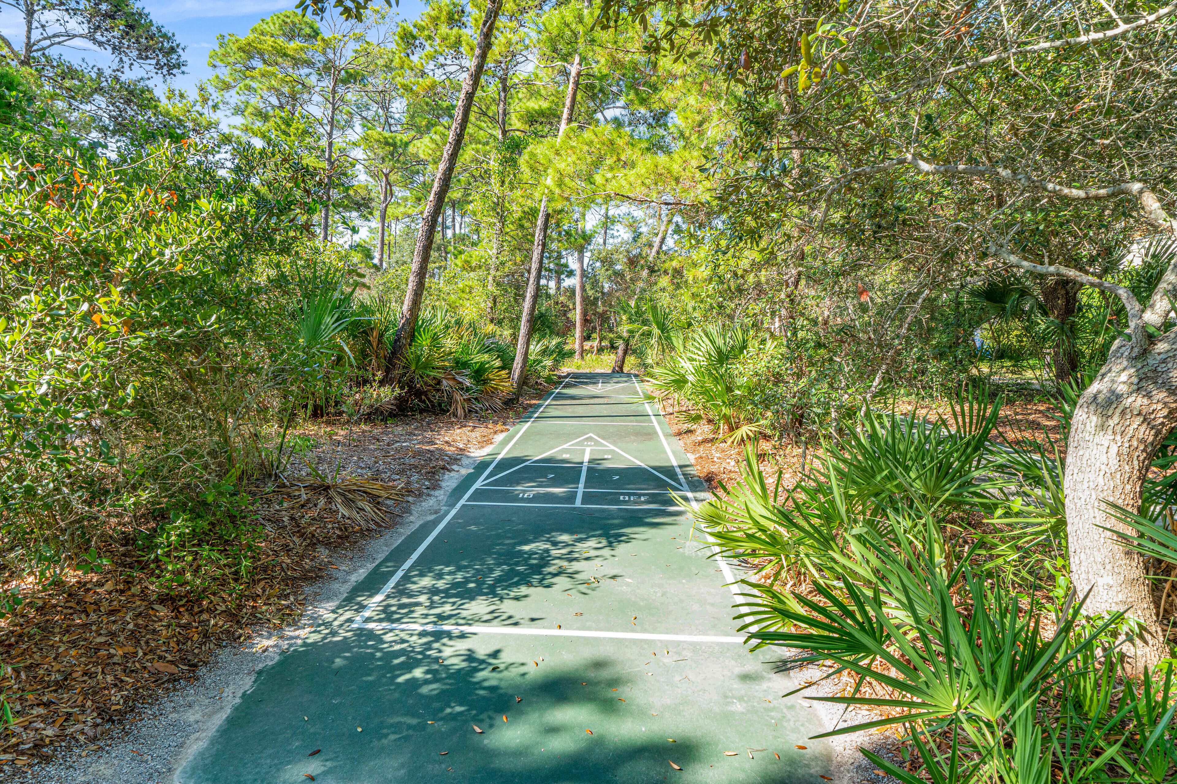 A green shuffleboard court surrounded by dense foliage and trees.