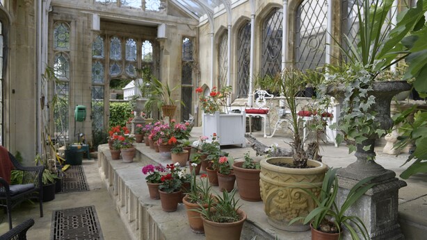 A conservatory with stone arches, potted plants, and a bench. - The Orangery Apartment (Bristol)