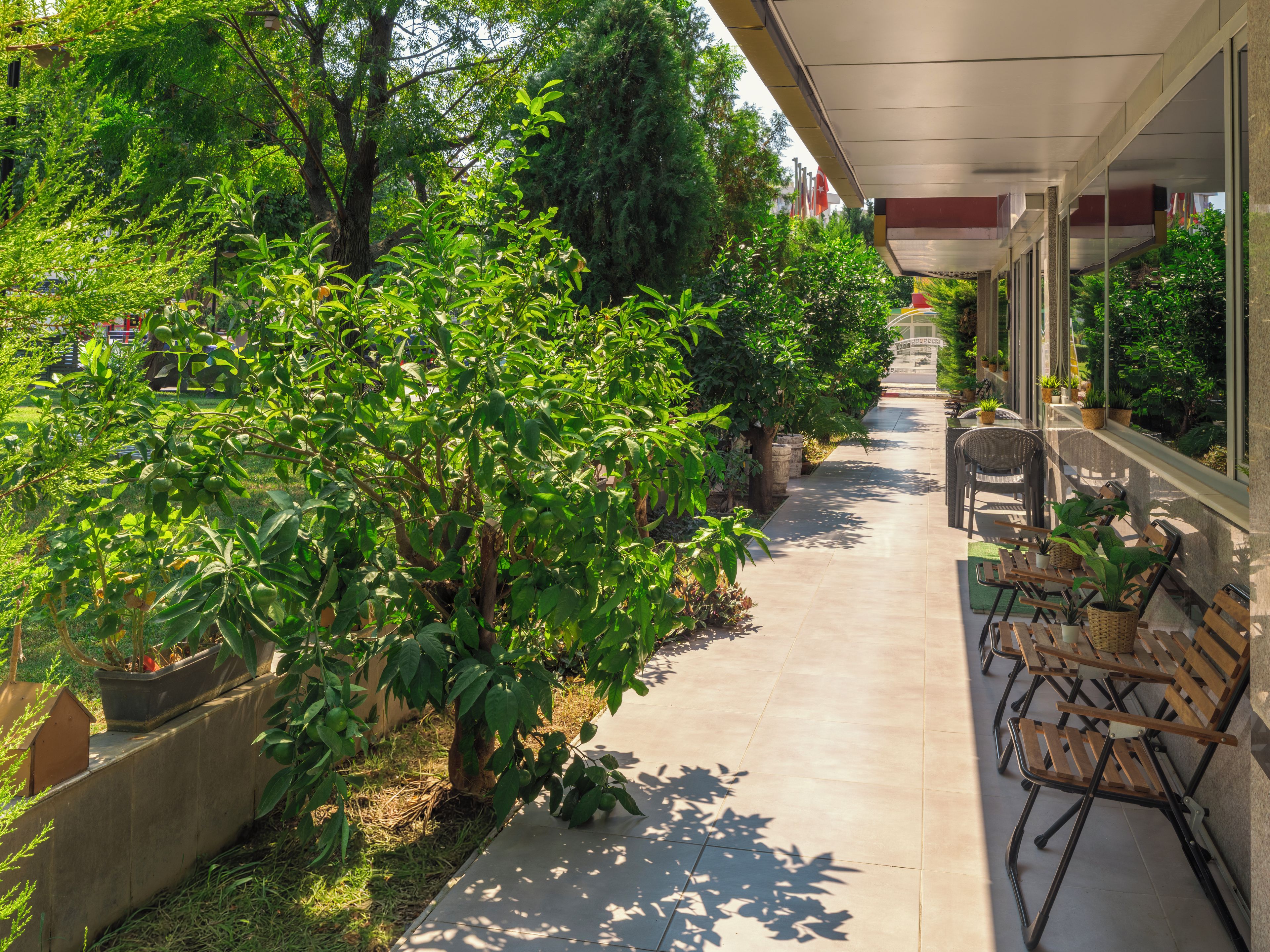 A covered outdoor seating area with potted plants and chairs.