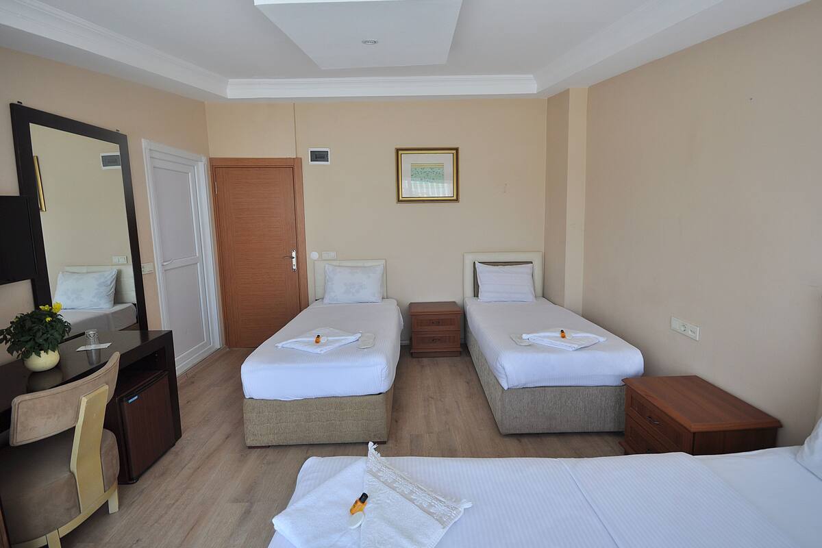 A hotel room with two single beds, a desk with a chair, a small table with a plant, a mirror, and a wooden door.