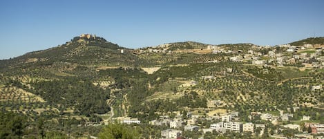 Vistas a la montaña